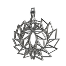 Phoenix Pendant with link