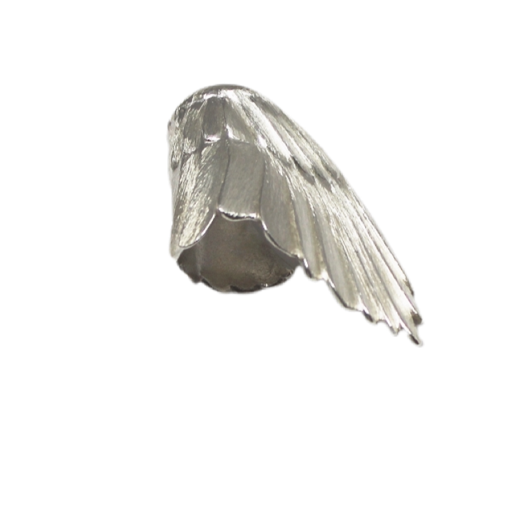 WING OF GUIDANCE ring.stl