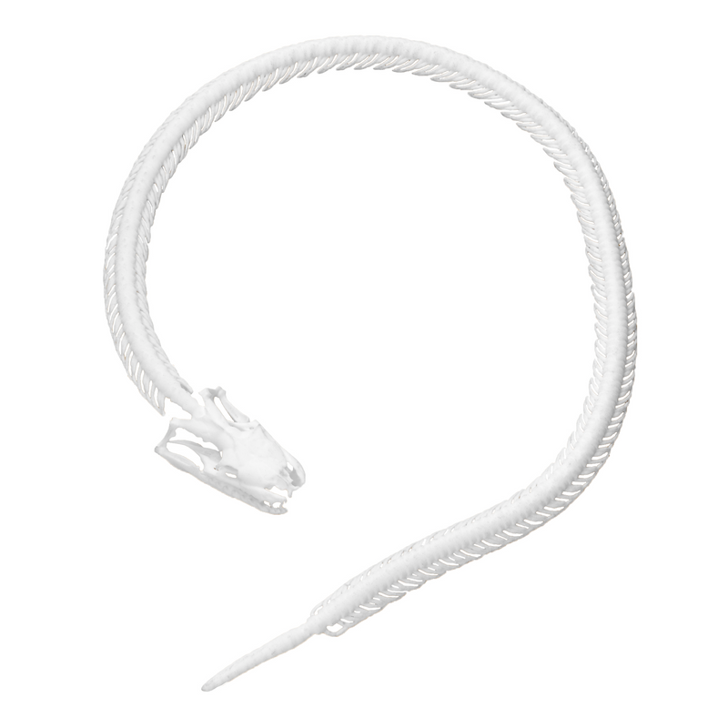 Serpentine Necklace