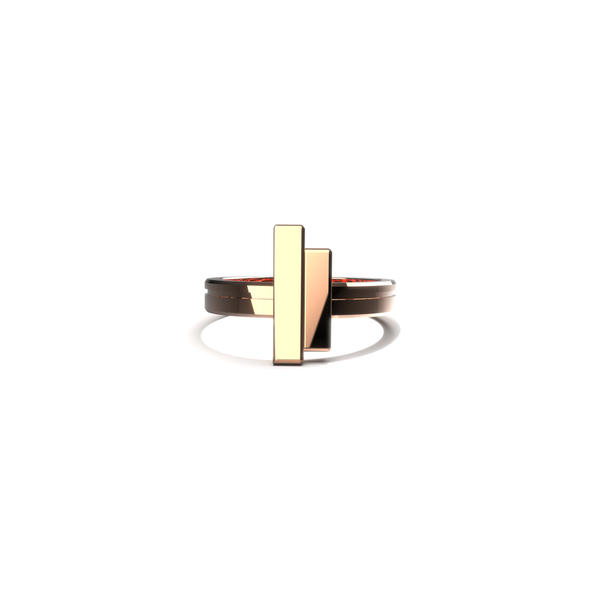 BLR Ring